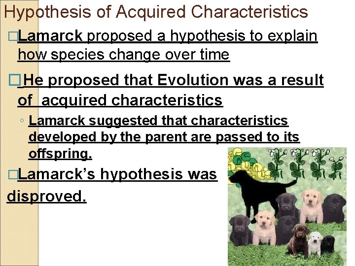 Hypothesis of Acquired Characteristics �Lamarck proposed a hypothesis to explain how species change over