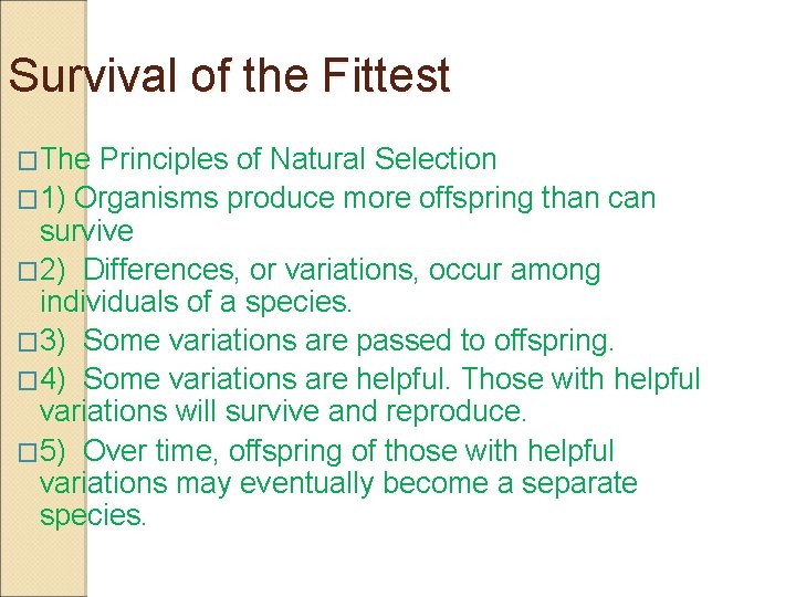 Survival of the Fittest �The Principles of Natural Selection � 1) Organisms produce more