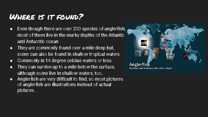 Where is it found? ● ● ● Even though there are over 200 species