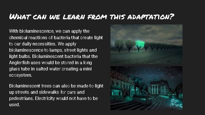 What can we learn from this adaptation? With bioluminescence, we can apply the chemical