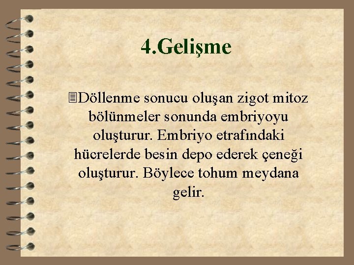 4. Gelişme 3 Döllenme sonucu oluşan zigot mitoz bölünmeler sonunda embriyoyu oluşturur. Embriyo etrafındaki