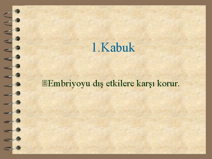 1. Kabuk 3 Embriyoyu dış etkilere karşı korur. 