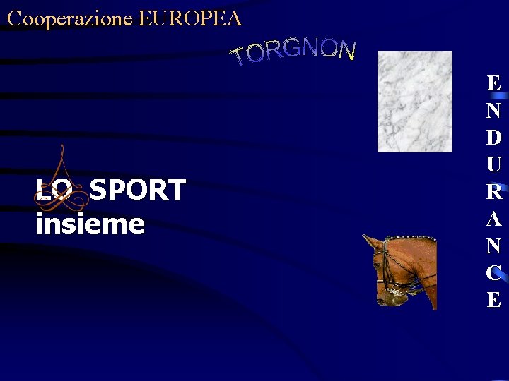 Cooperazione EUROPEA LO SPORT insieme E N D U R A N C E