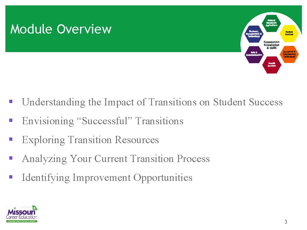 Module Overview § Understanding the Impact of Transitions on Student Success § Envisioning “Successful”