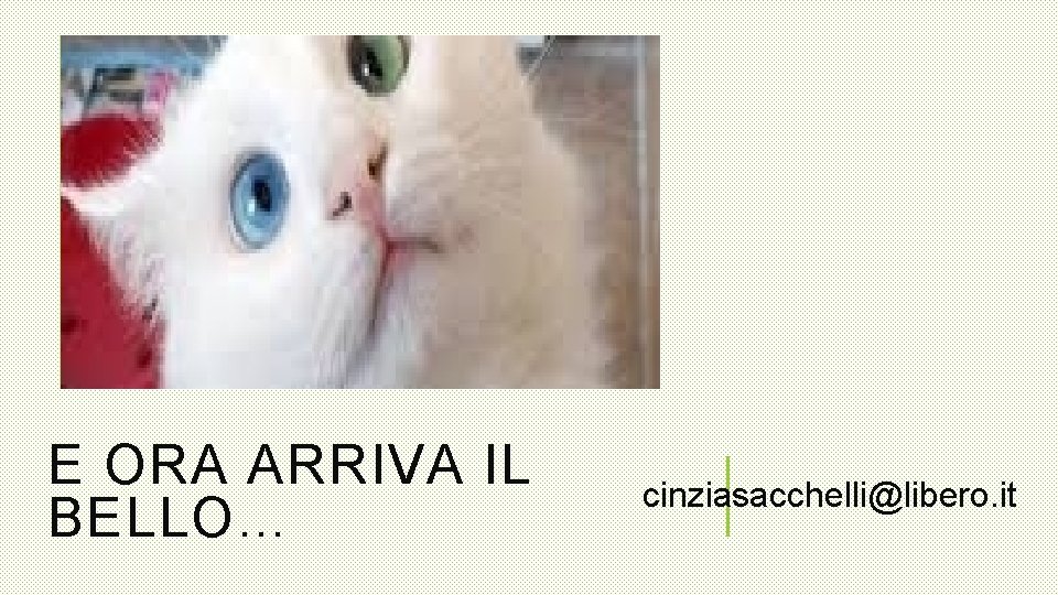 E ORA ARRIVA IL BELLO… cinziasacchelli@libero. it 