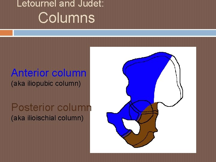 Letournel and Judet: Columns Anterior column (aka iliopubic column) Posterior column (aka ilioischial column)