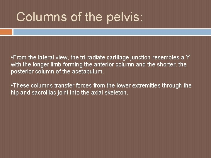Columns of the pelvis: • From the lateral view, the tri-radiate cartilage junction resembles
