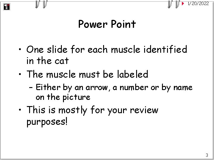 1/20/2022 Power Point • One slide for each muscle identified in the cat •