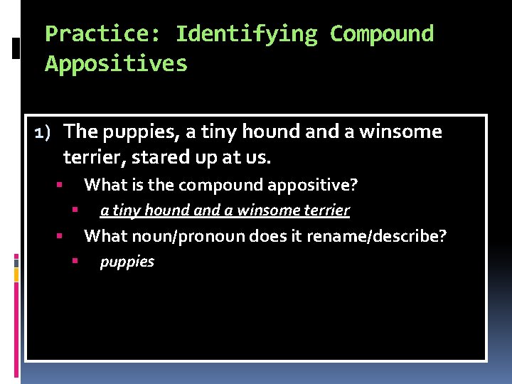 Practice: Identifying Compound Appositives 1) The puppies, a tiny hound a winsome terrier, stared Practice: Identifying Compound Appositives 1) The puppies, a tiny hound a winsome terrier, stared