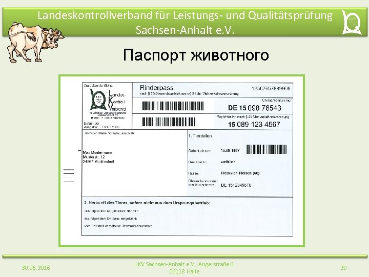 Landeskontrollverband für Leistungs- und Qualitätsprüfung Sachsen-Anhalt e. V. Паспорт животного 30. 06. 2016 LKV