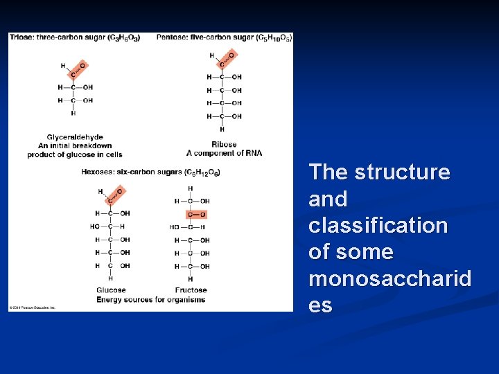The structure and classification of some monosaccharid es 