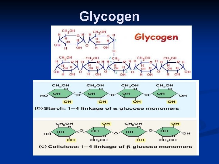 Glycogen 