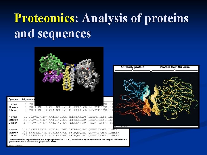 Proteomics: Analysis of proteins and sequences 