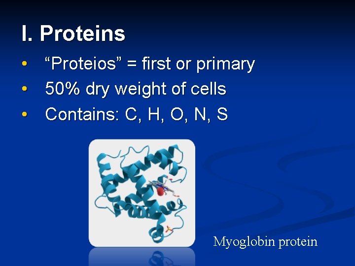 I. Proteins • “Proteios” = first or primary • 50% dry weight of cells