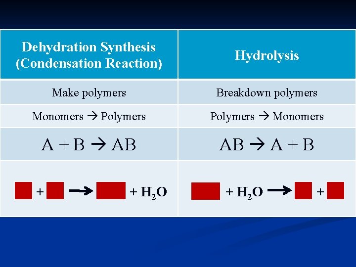 Dehydration Synthesis (Condensation Reaction) Hydrolysis Make polymers Breakdown polymers Monomers Polymers Monomers A +