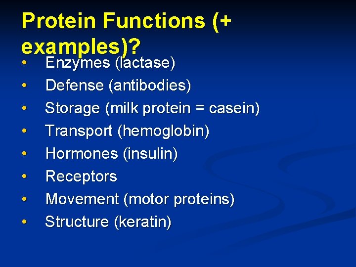 Protein Functions (+ examples)? • • Enzymes (lactase) Defense (antibodies) Storage (milk protein =