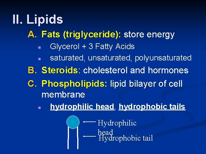 II. Lipids A. Fats (triglyceride): store energy n n Glycerol + 3 Fatty Acids