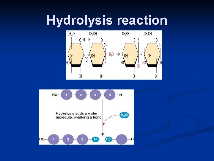 Hydrolysis reaction 