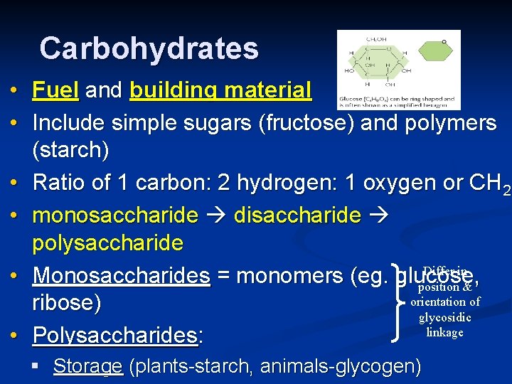 Carbohydrates • Fuel and building material • Include simple sugars (fructose) and polymers (starch)