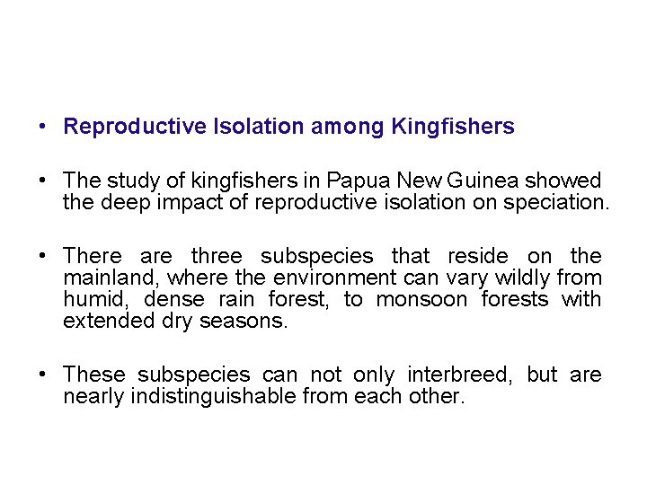  • Reproductive Isolation among Kingfishers • The study of kingfishers in Papua New