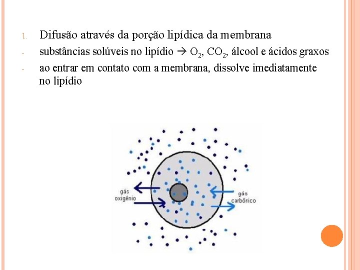 1. Difusão através da porção lipídica da membrana - substâncias solúveis no lipídio O