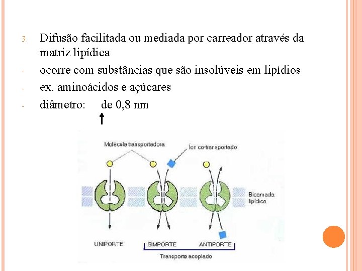 3. - Difusão facilitada ou mediada por carreador através da matriz lipídica ocorre com