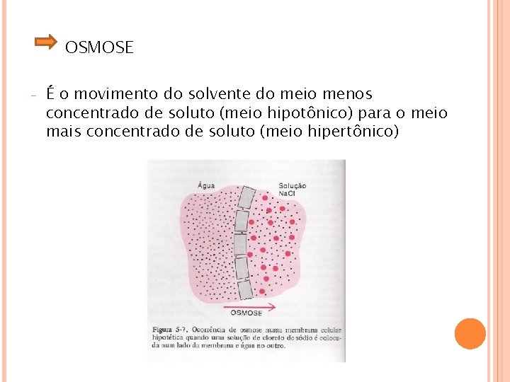 OSMOSE - É o movimento do solvente do meio menos concentrado de soluto (meio