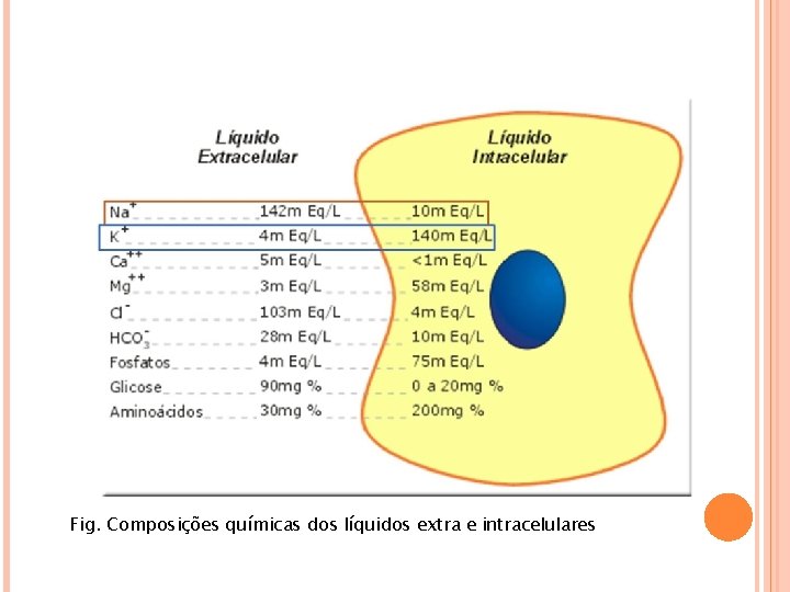 Fig. Composições químicas dos líquidos extra e intracelulares 