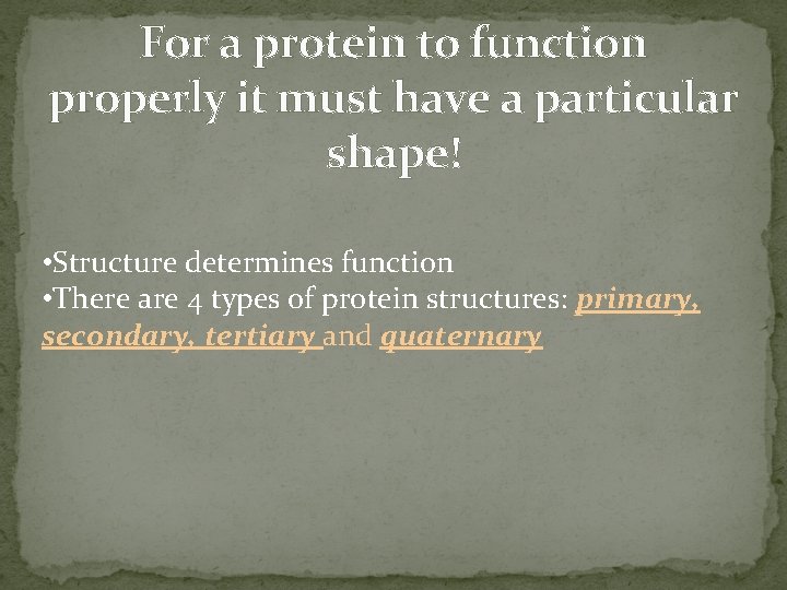 For a protein to function properly it must have a particular shape! • Structure