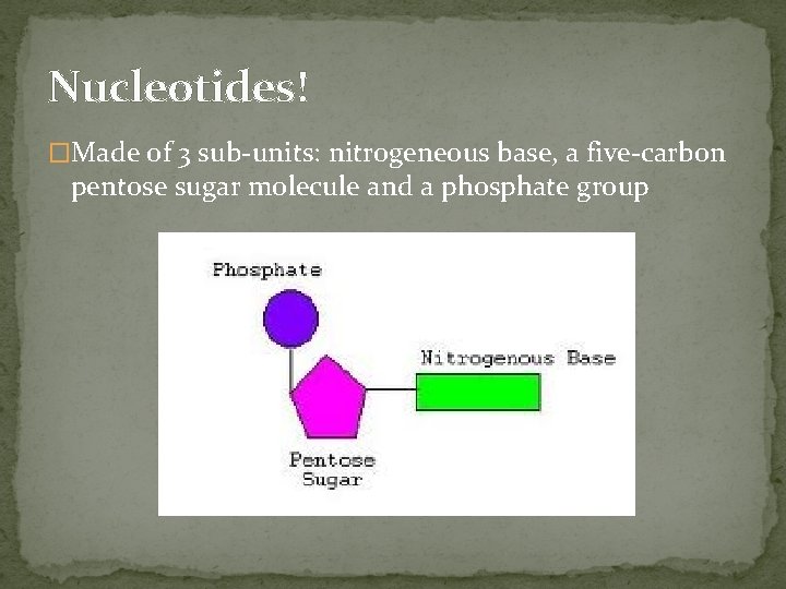 Nucleotides! �Made of 3 sub-units: nitrogeneous base, a five-carbon pentose sugar molecule and a