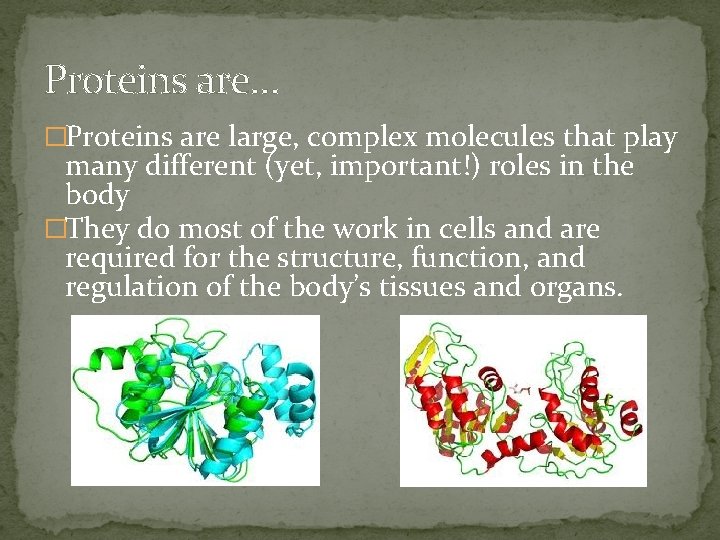 Proteins are… �Proteins are large, complex molecules that play many different (yet, important!) roles