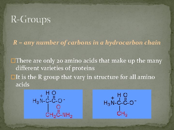 R-Groups R = any number of carbons in a hydrocarbon chain �There are only