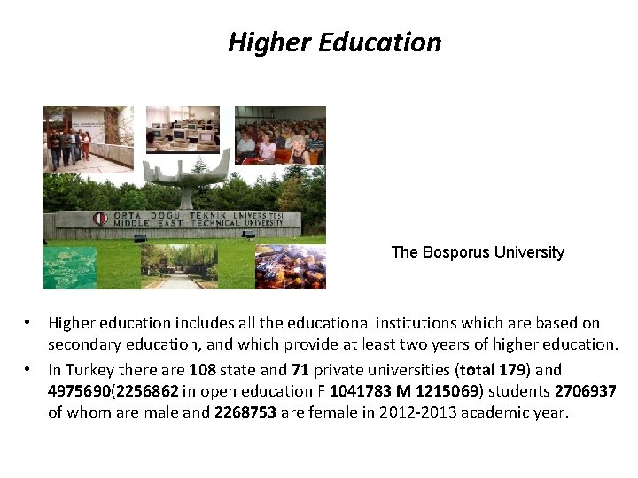 Higher Education The Bosporus University • Higher education includes all the educational institutions which