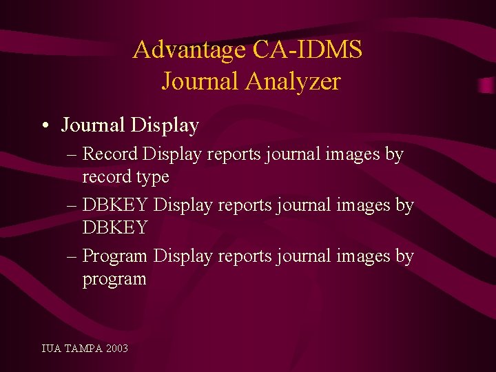 Advantage CA-IDMS Journal Analyzer • Journal Display – Record Display reports journal images by
