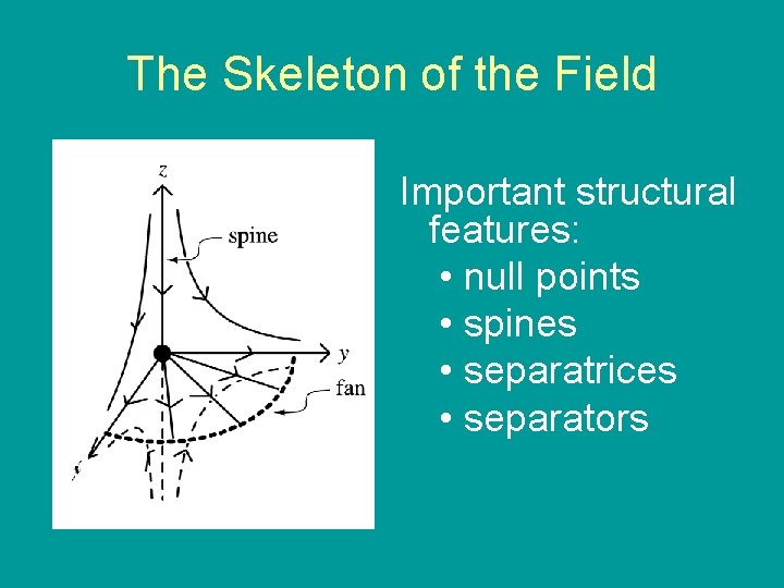 The Skeleton of the Field Important structural features: • null points • spines •
