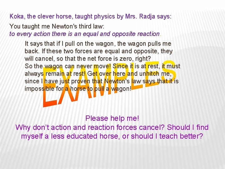 Koka, the clever horse, taught physics by Mrs. Radja says: You taught me Newton's