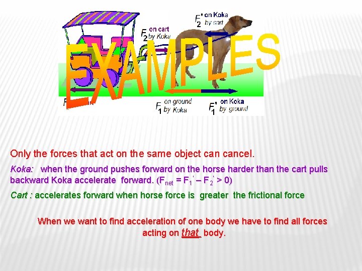 Only the forces that act on the same object cancel. Koka: when the ground