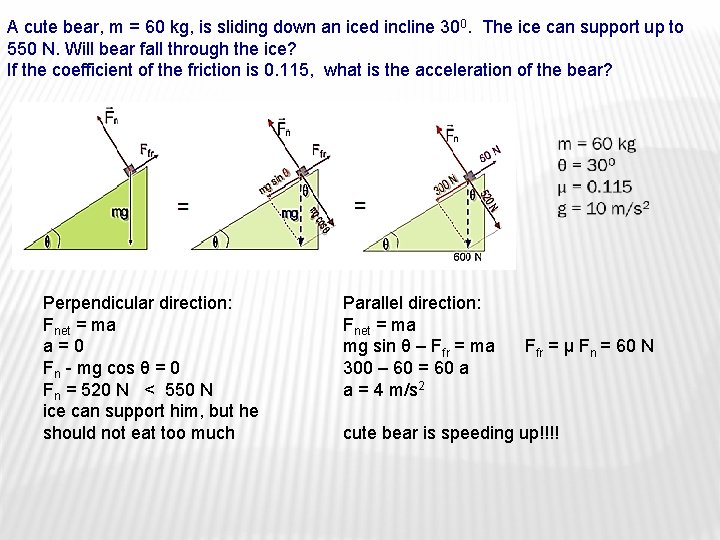 A cute bear, m = 60 kg, is sliding down an iced incline 300.