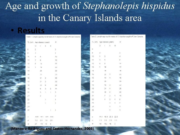 Age and growth of Stephanolepis hispidus in the Canary Islands area • Results (Mancera-Rodriguez
