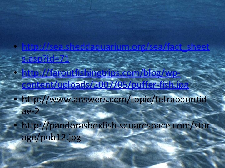  • http: //sea. sheddaquarium. org/sea/fact_sheet s. asp? id=71 • http: //faroutfishingtrips. com/blog/wpcontent/uploads/2007/05/puffer-fish. jpg