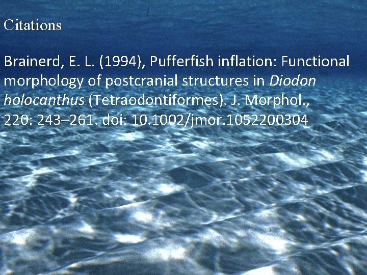 Citations Brainerd, E. L. (1994), Pufferfish inflation: Functional morphology of postcranial structures in Diodon