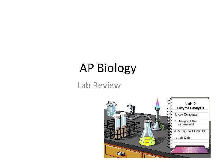 AP Biology Lab Review 