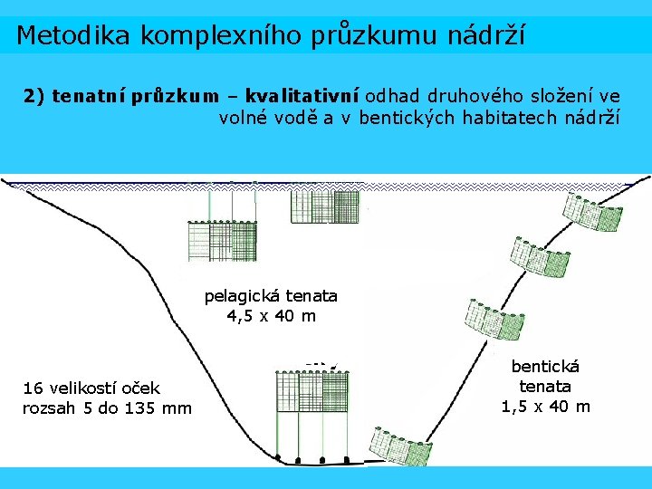 Metodika komplexního průzkumu nádrží 2) tenatní průzkum – kvalitativní odhad druhového složení ve volné