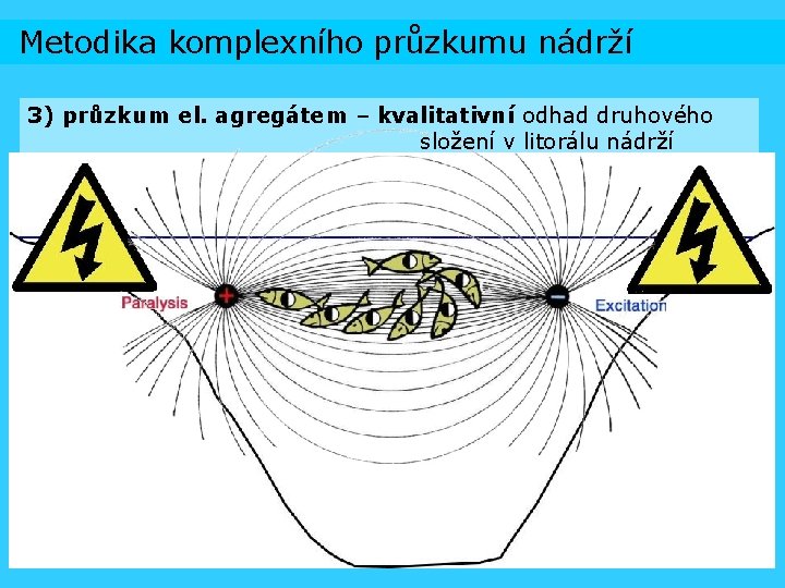 Metodika komplexního průzkumu nádrží 3) průzkum el. agregátem – kvalitativní odhad druhového složení v