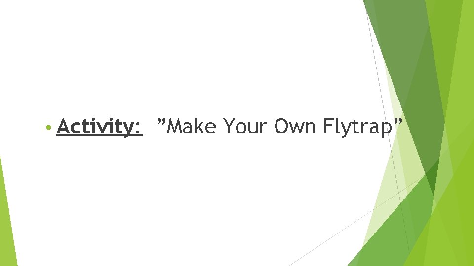  • Activity: ”Make Your Own Flytrap” 