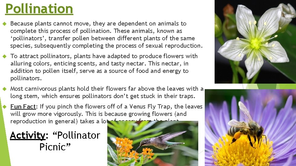 Pollination Because plants cannot move, they are dependent on animals to complete this process