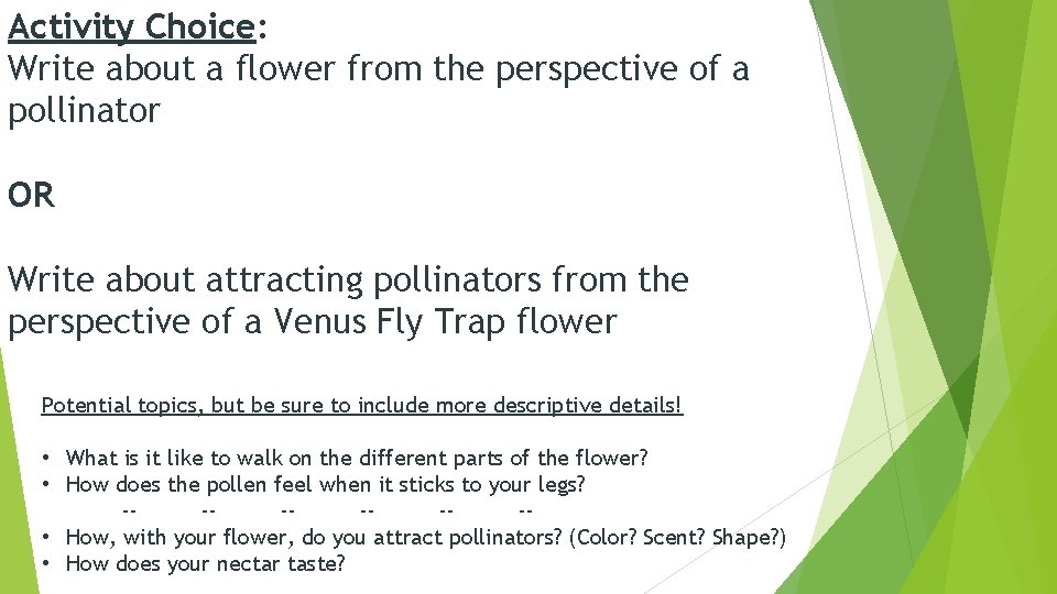 Activity Choice: Write about a flower from the perspective of a pollinator OR Write