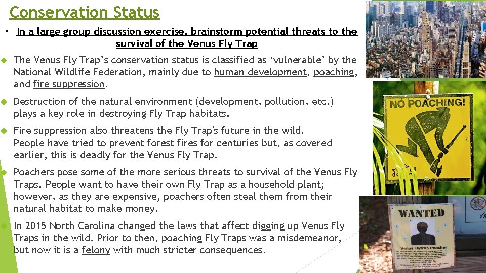 Conservation Status • In a large group discussion exercise, brainstorm potential threats to the