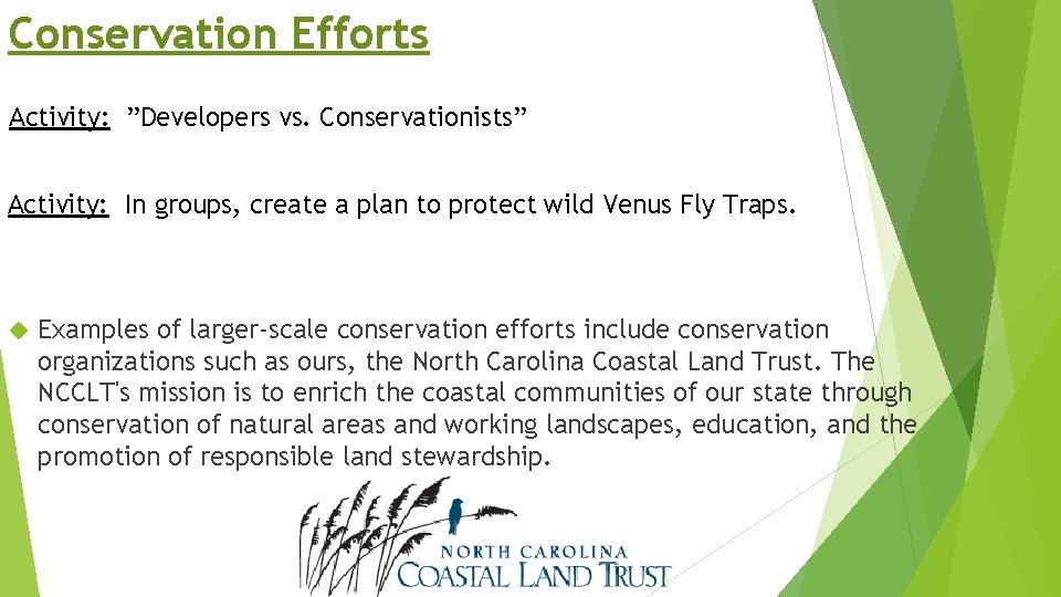 Conservation Efforts Activity: ”Developers vs. Conservationists” Activity: In groups, create a plan to protect