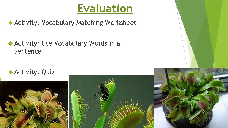 Evaluation Activity: Vocabulary Matching Worksheet Activity: Use Vocabulary Words in a Sentence Activity: Quiz